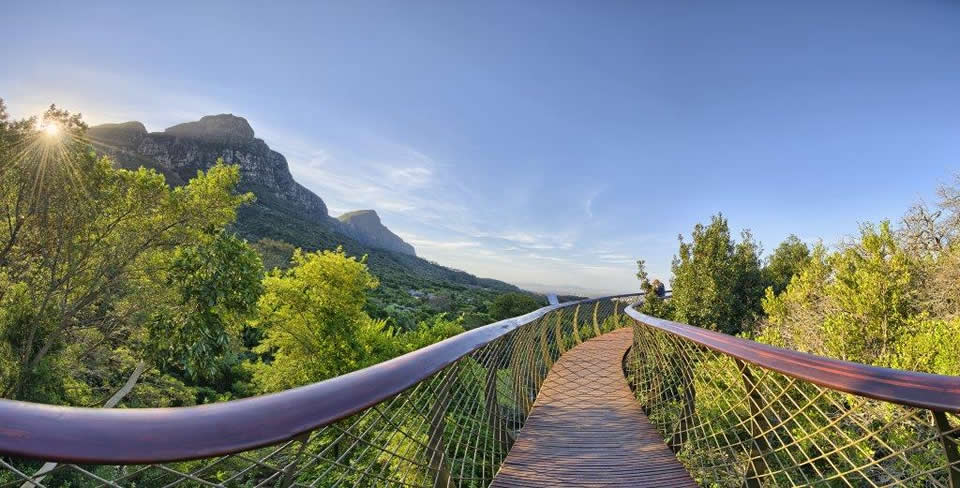 Kirstenbosch National Botanical Garden